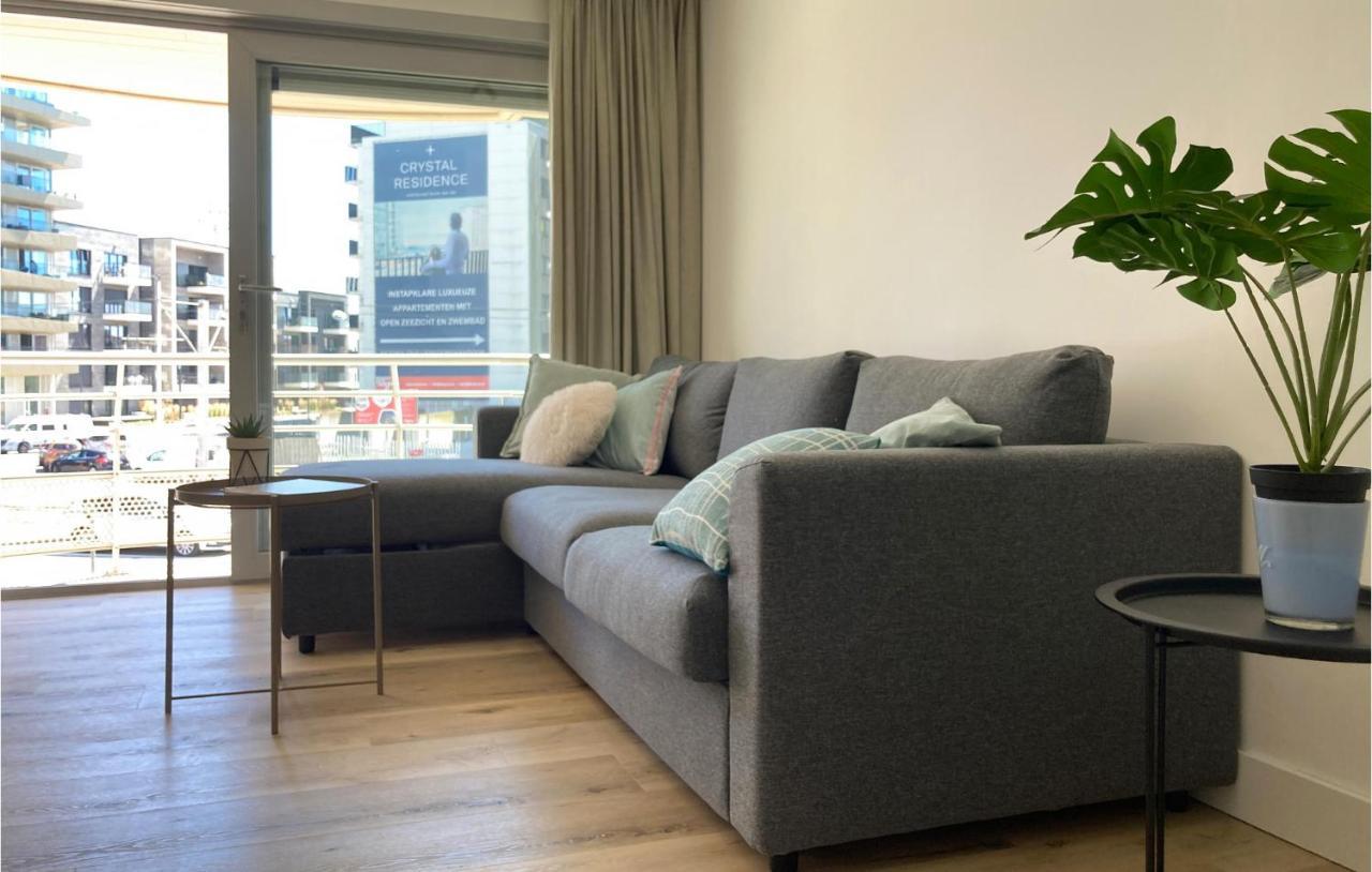 Beautiful In With Outdoor Swimming Pool, Wifi&2 Bedrooms Appartement Oostende